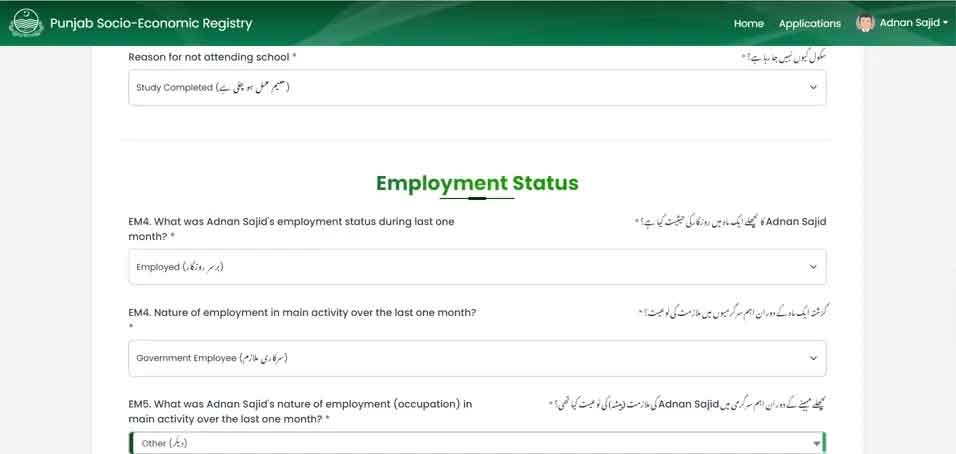 Step 5: Employment & Income Details