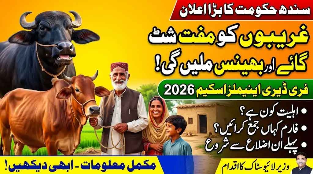 Sindh Livestock Scheme 2026